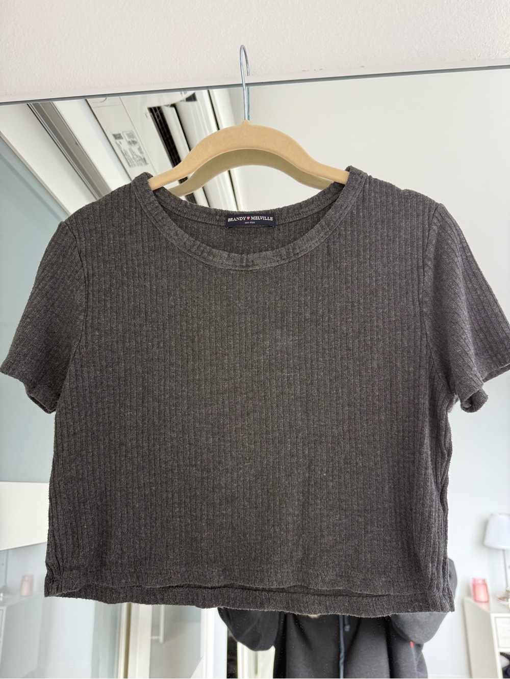 Brandy Melville Charcoal Ribbed Crop Tee One Size
